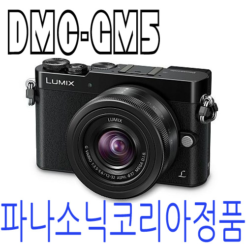파나소닉코리아정품 DMC-GM5 (12-32mm)렌즈포함