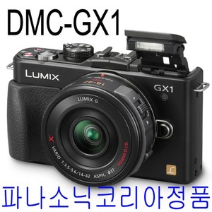 DMC-GX1(1441X렌즈포함)파나소닉코리아정품 정품케이스포함
